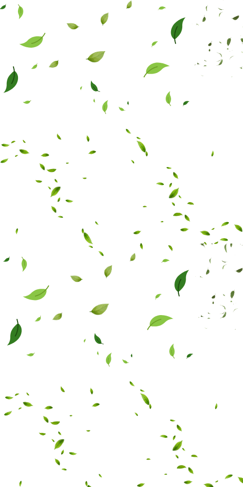 Ayurveda decorative background left